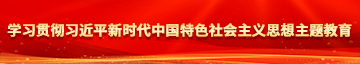 国产操小屄视频学习贯彻习近平新时代中国特色社会主义思想主题教育